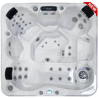 Avalon-X EC-849LX hot tubs for sale in Parker